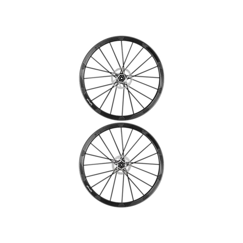 LIGHTWEIGHT WEGWEISER EVO DISC 3 LIGHTWEIGHT WEGWEISER EVO DISC